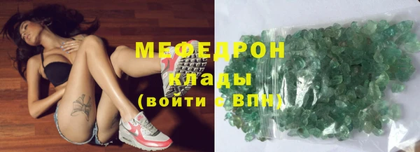 шишки Няндома