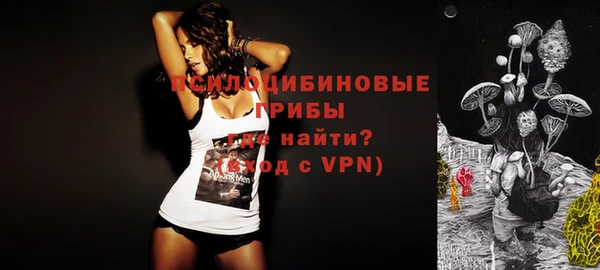 стафф Армянск