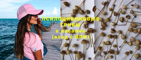 стафф Заволжск