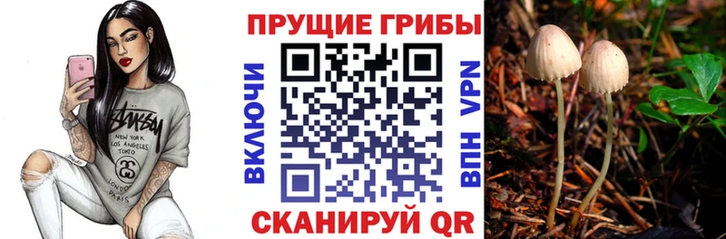 где найти наркотики  Таштагол  Псилоцибиновые грибы MAGIC MUSHROOMS 